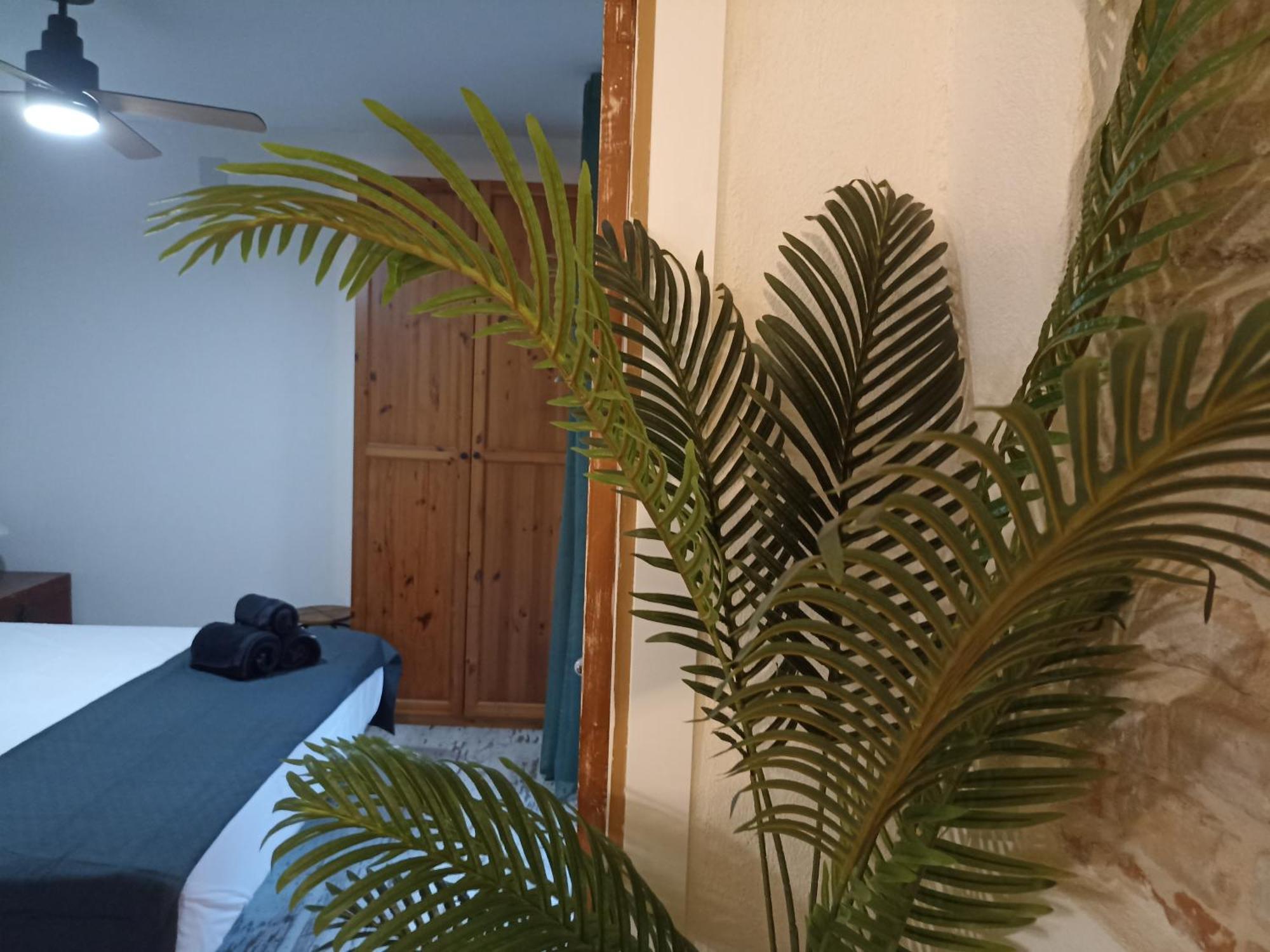 Petra Apartments -Old City With Terrace And Barbecue- 타라고나 외부 사진